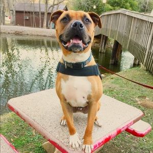 Meet your Posher, Jordan